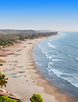 TRavila