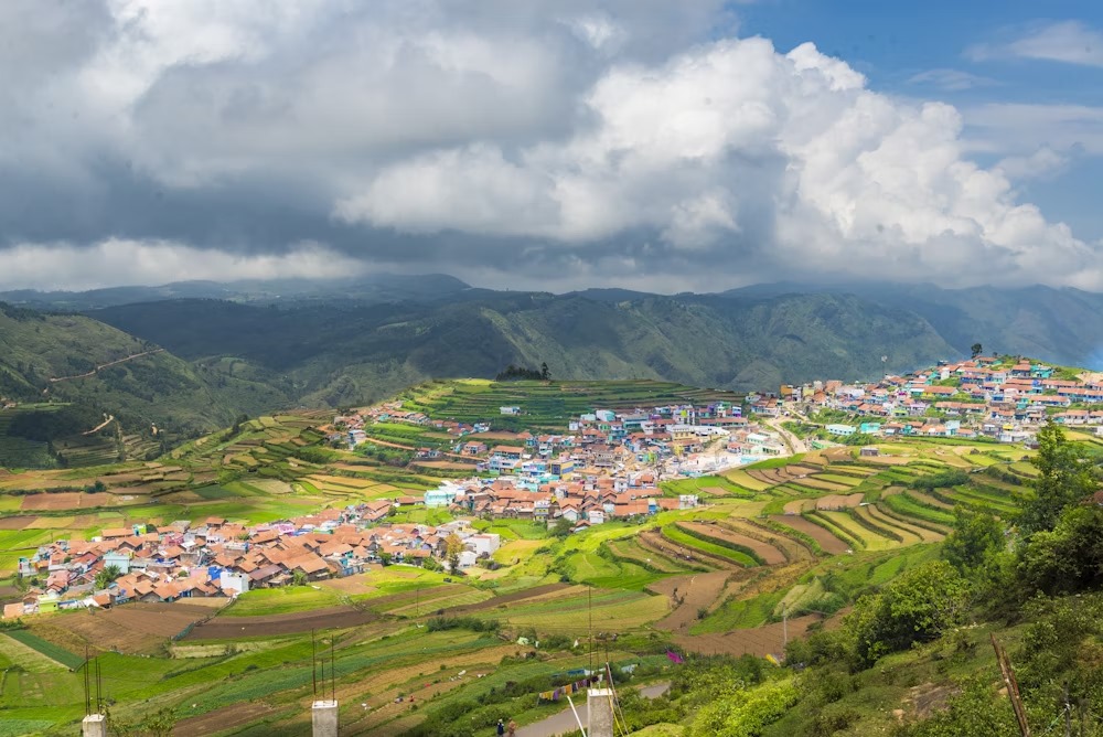 Travila